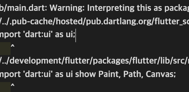 [Flutter-Vscode] lib/main.dart: Warning: Interpreting this as package URI, '/main.dart'.