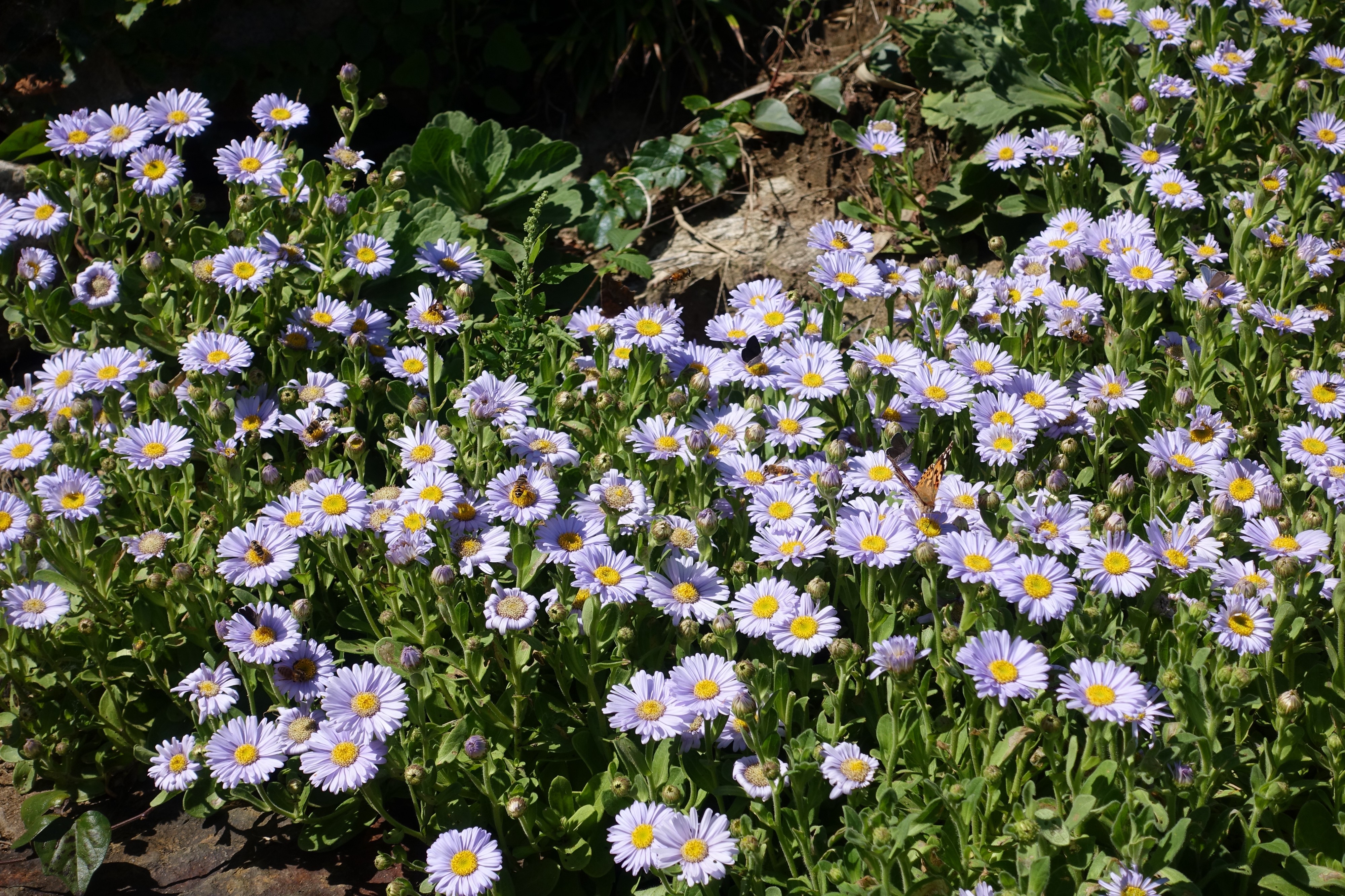 [Javascript] 알면 좋은 25가지 JS Tricks