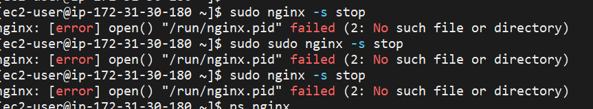 [Nginx] Ngnix pid 누락으로 인한 문제 해결 방법