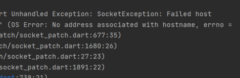 [Flutter] OS Error: No address associated with hostname