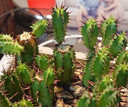 [Vuejs] Enterprise Project 진행시 알아야 할 4가지