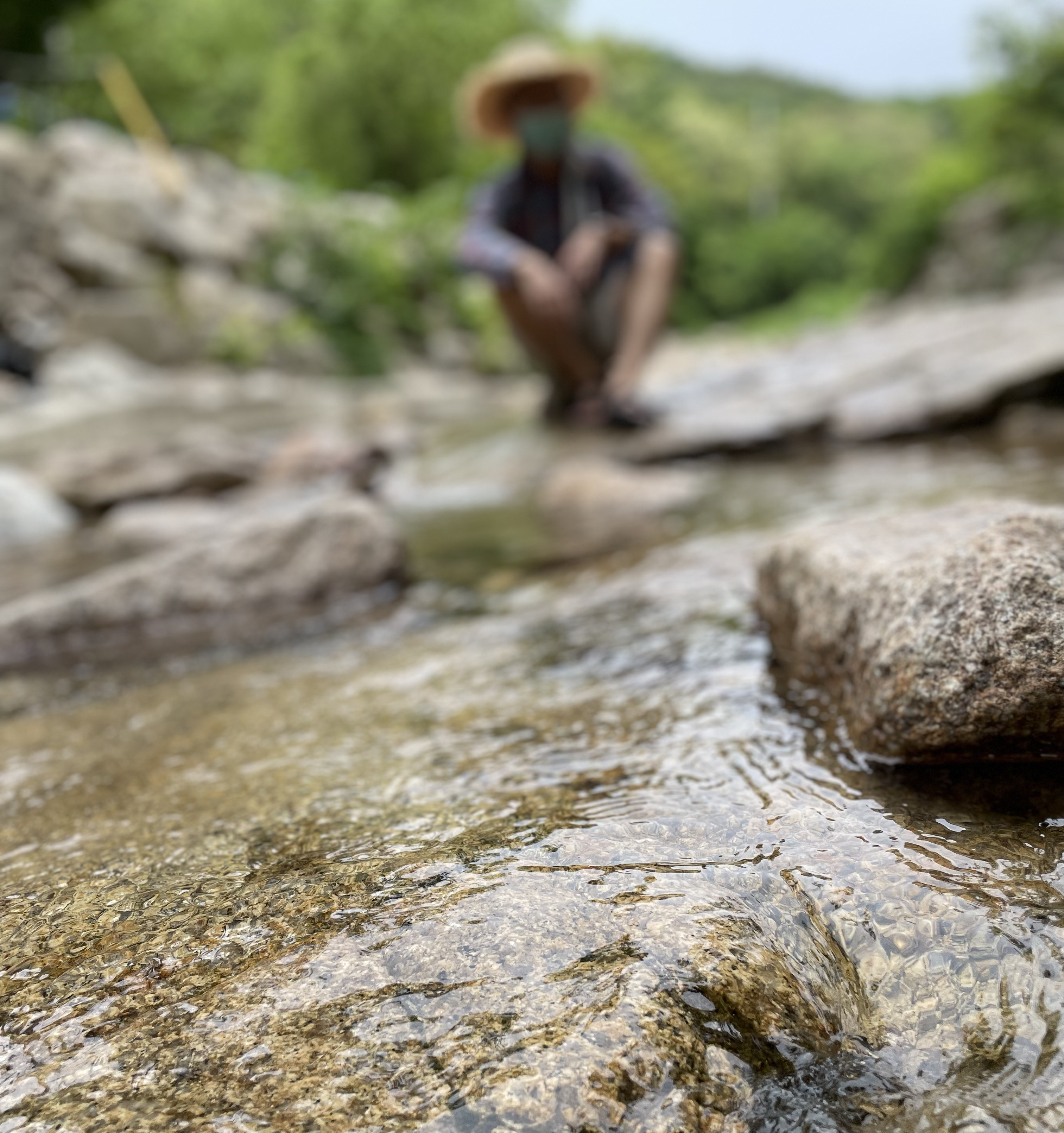 [React] Let’s solve CORS (in Nextjs)