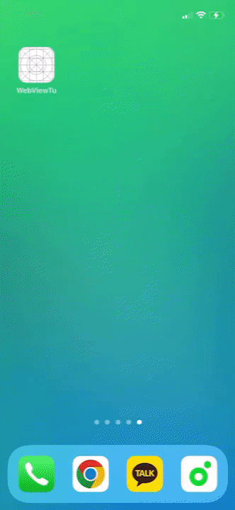 [하이브리드 웹 - iOS] 카카오 공유하기 웹뷰