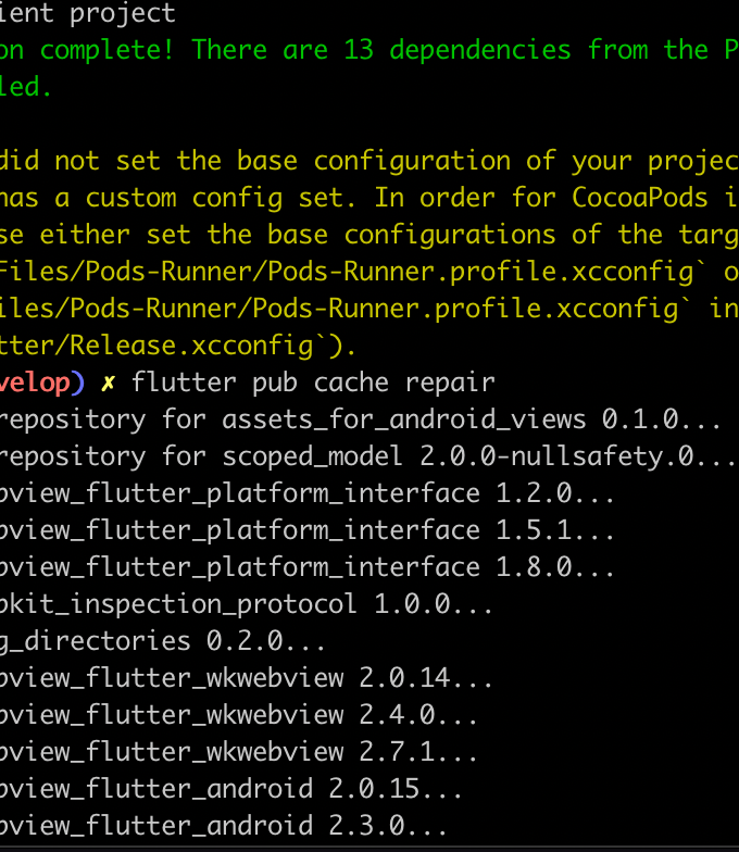 [Flutter-Xcode] Xcode가 빌드가 안되고 .pub-cache 관련 에러가 발생하는 경우