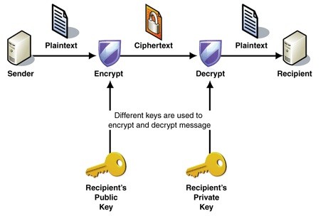 로컬 웹 서비스에 Easy-RSA 인증서 적용하기
