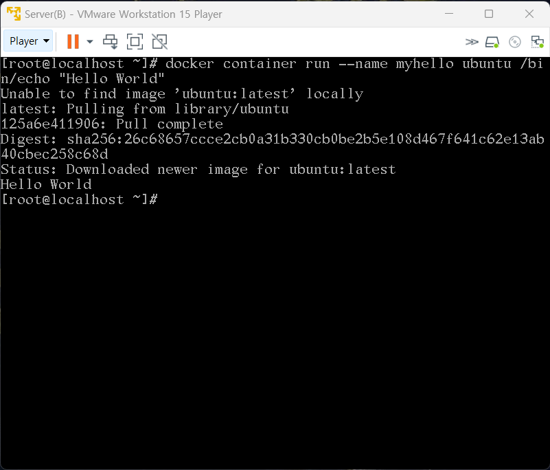 [Docker]컨테이너 이름 부여 생성
