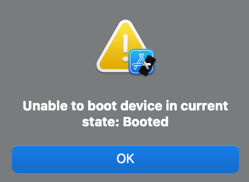 [iOS] Unable to boot device in current state: Booted