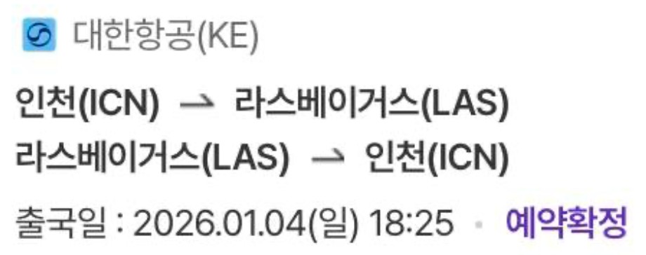 CES 2026 출장 준비 - 항공권편 - CES 2026 가자 (1)