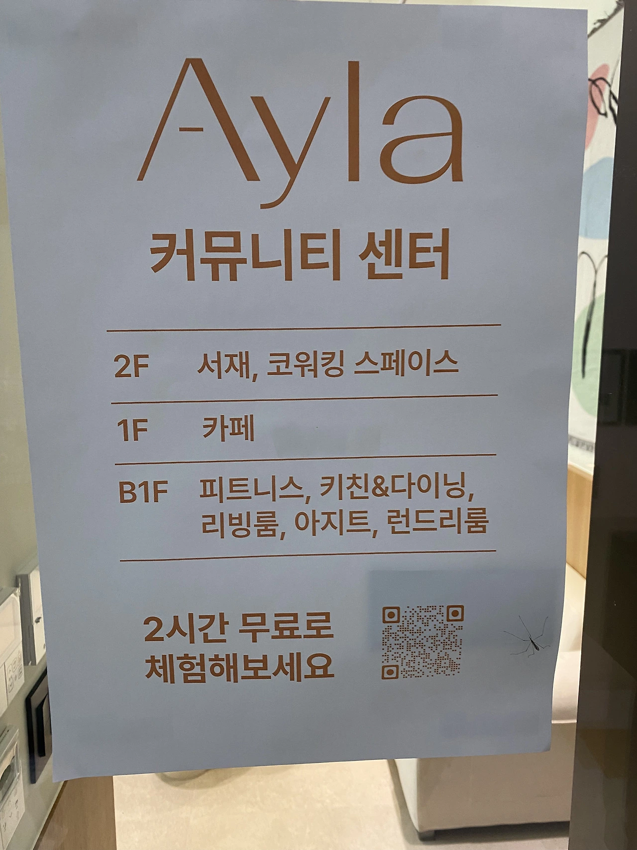 신촌 아얄라 커뮤니티 센터 - 신촌 아얄라 커뮤니티 센터