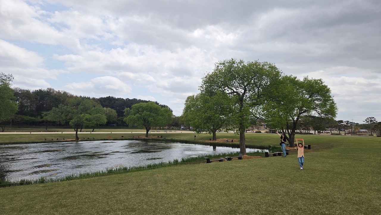 2025년 블로그 결산