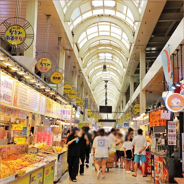 속초 2박 3일 계획짜줘. 맛집과 전시위주로