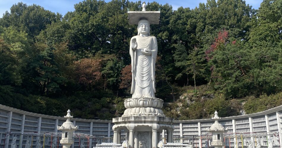 [라프디 창업기 #55] 시니컬해지지 말자