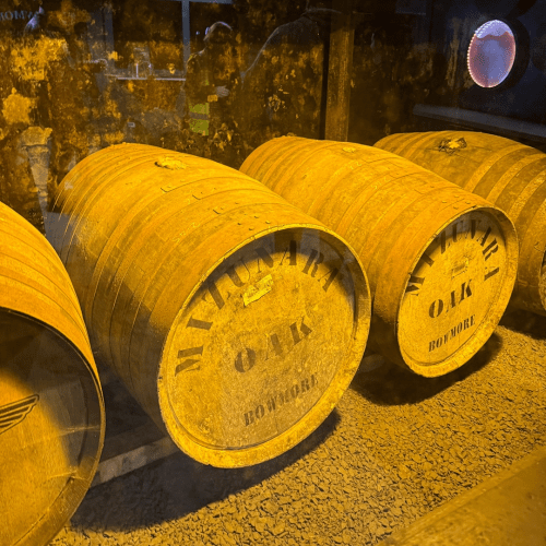 2025년의 후일담