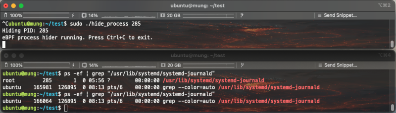 eBPF로 process 조회에서 제외 되도록 해봄
