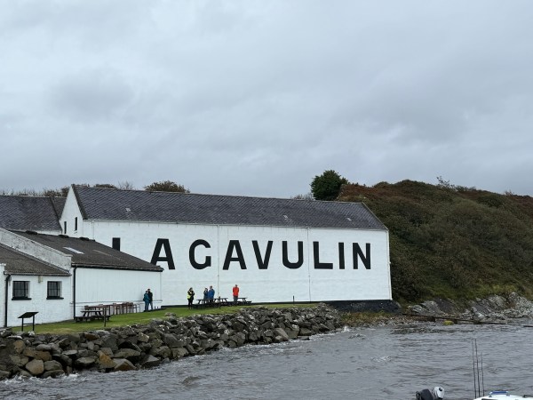 2025년의 땡땡땡