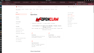 오픈 클로우(Openclaw) 설치 및 사용기