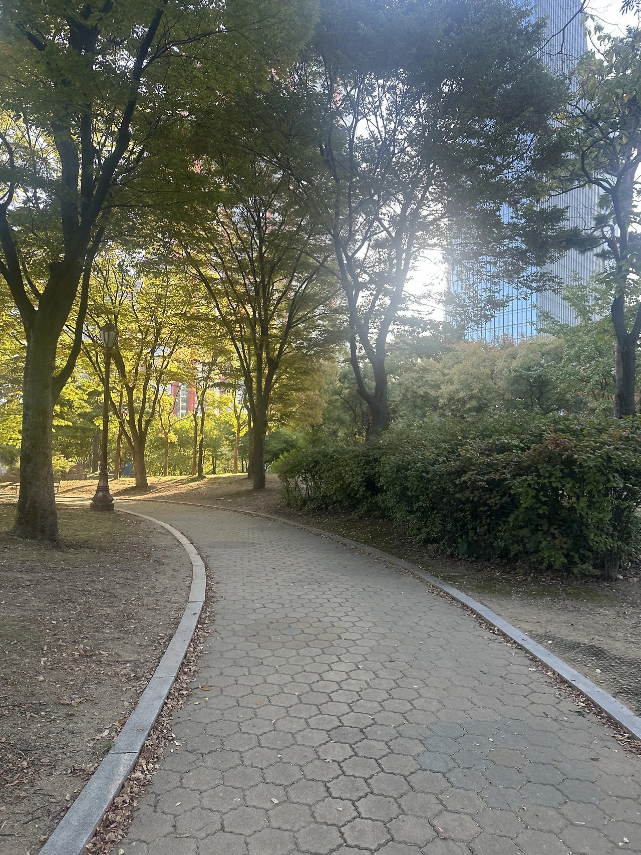 걷기좋은 여의도 공원, 가을시작-2026-10-08
