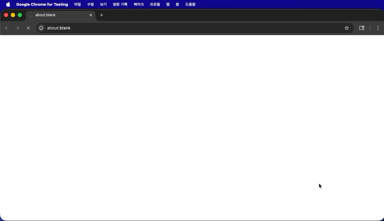 ReAct 에이전트 Playwright를 사용한 브라우저 조작 및 웹 검색