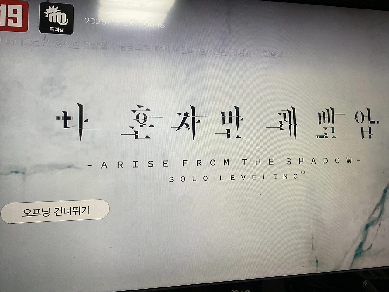 퇴직후 시간 보내기. 넷플릭스