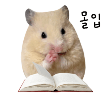 적당히 만족하는 연습