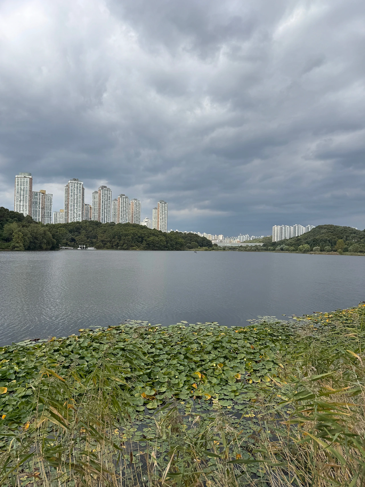 휴직일기 - 53일 차