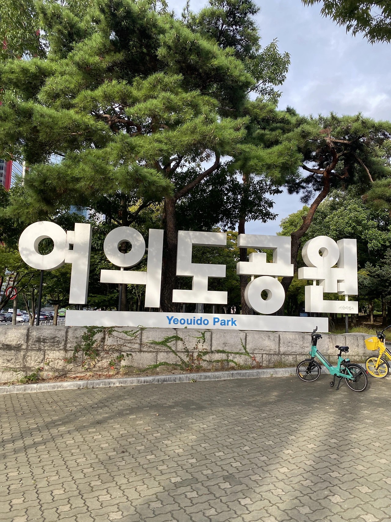 아침운동하기 좋은 여의도 공원. 8월 중순