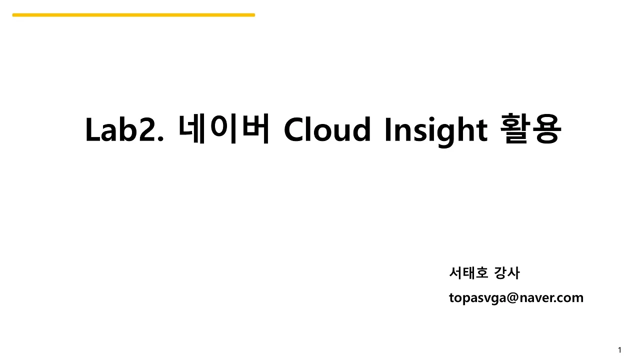 Lab2. 네이버 Cloud Insight 활용