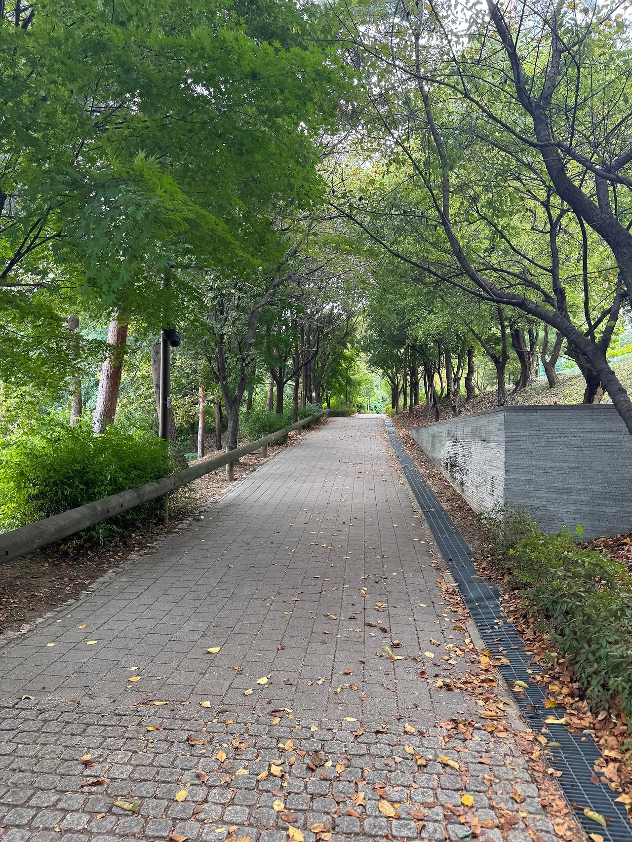 휴직 일기 - 18일 차 - 식상한 가을 날씨