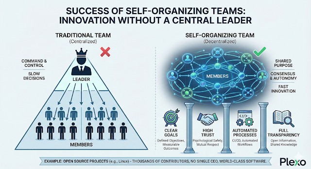 자기 조직화 팀의 성공 사례: 리더 없이도 혁신하는 조직