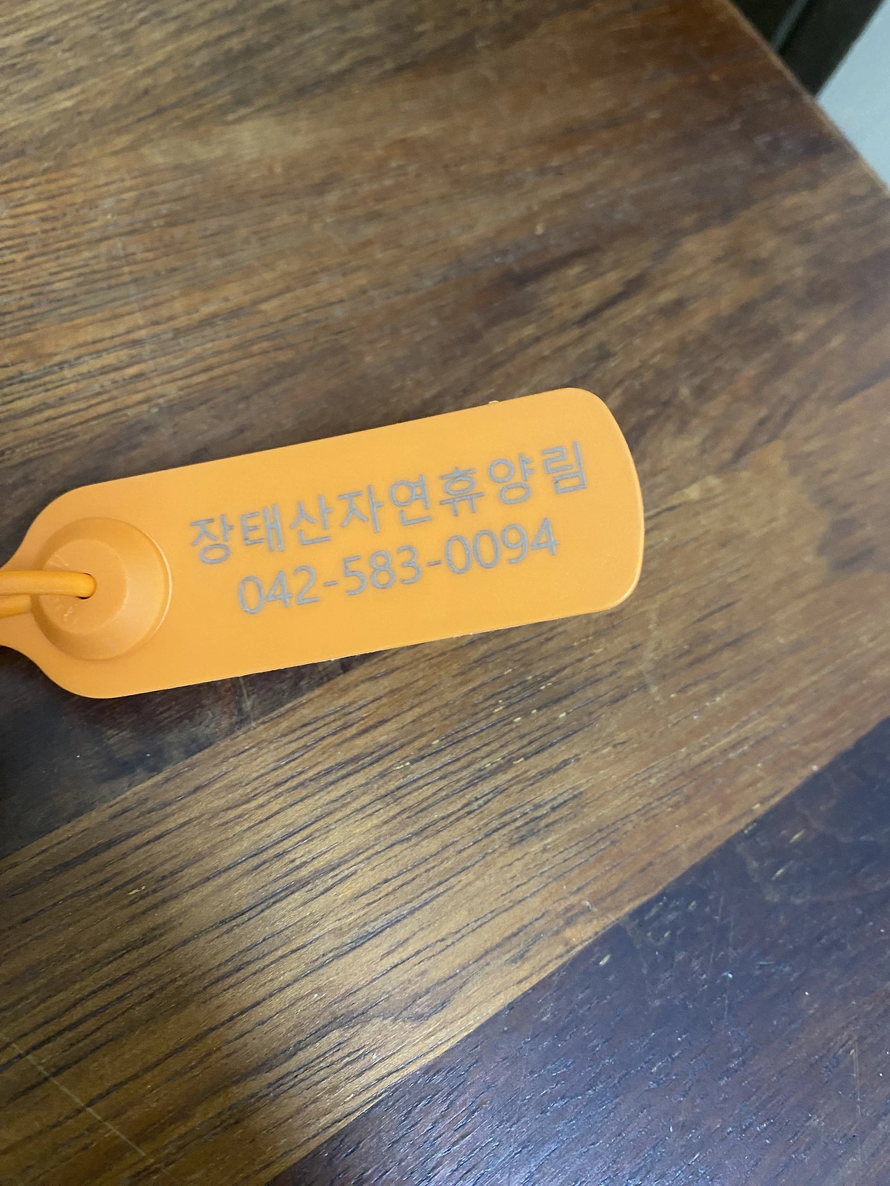 대전. 장태산 자연휴양림 -2026-06