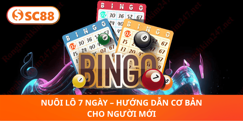 Nuôi Lô 7 Ngày SC88 – Bí Quyết Đầu Tư Lô Đề Thông Minh