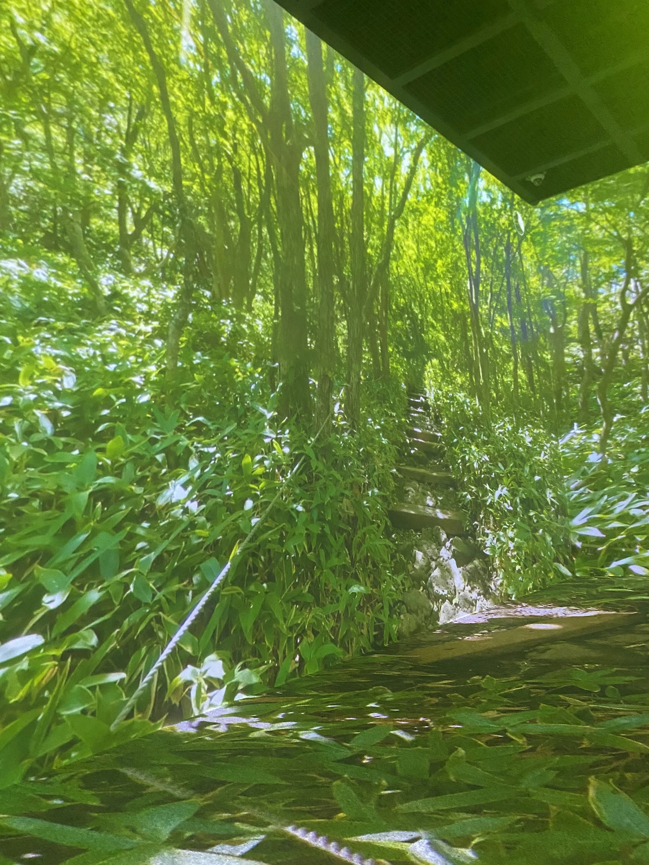 대전 한밭 식물원