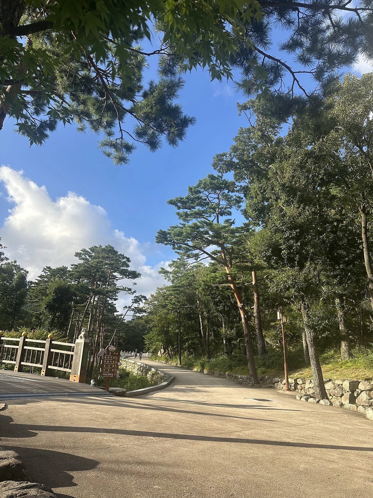 설악산 비선대 탐방로 산책 좋아요