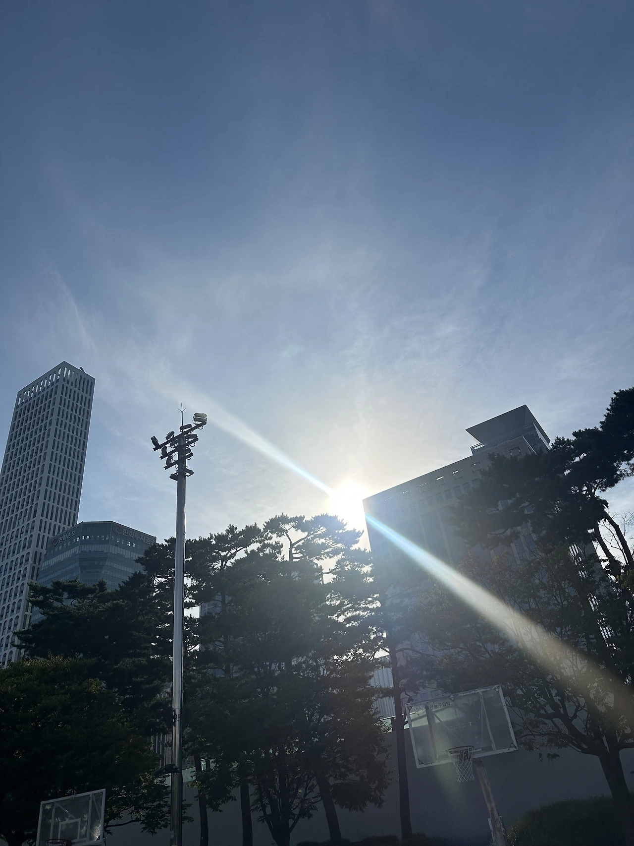 농구. 오전6시-8시반. 눈부시다