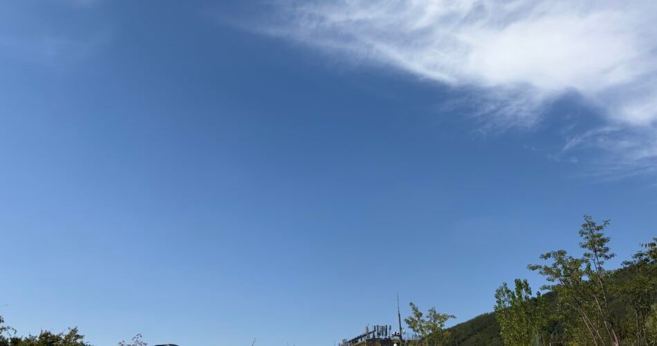 [라프디 창업기 #74] 생존에서 성장으로