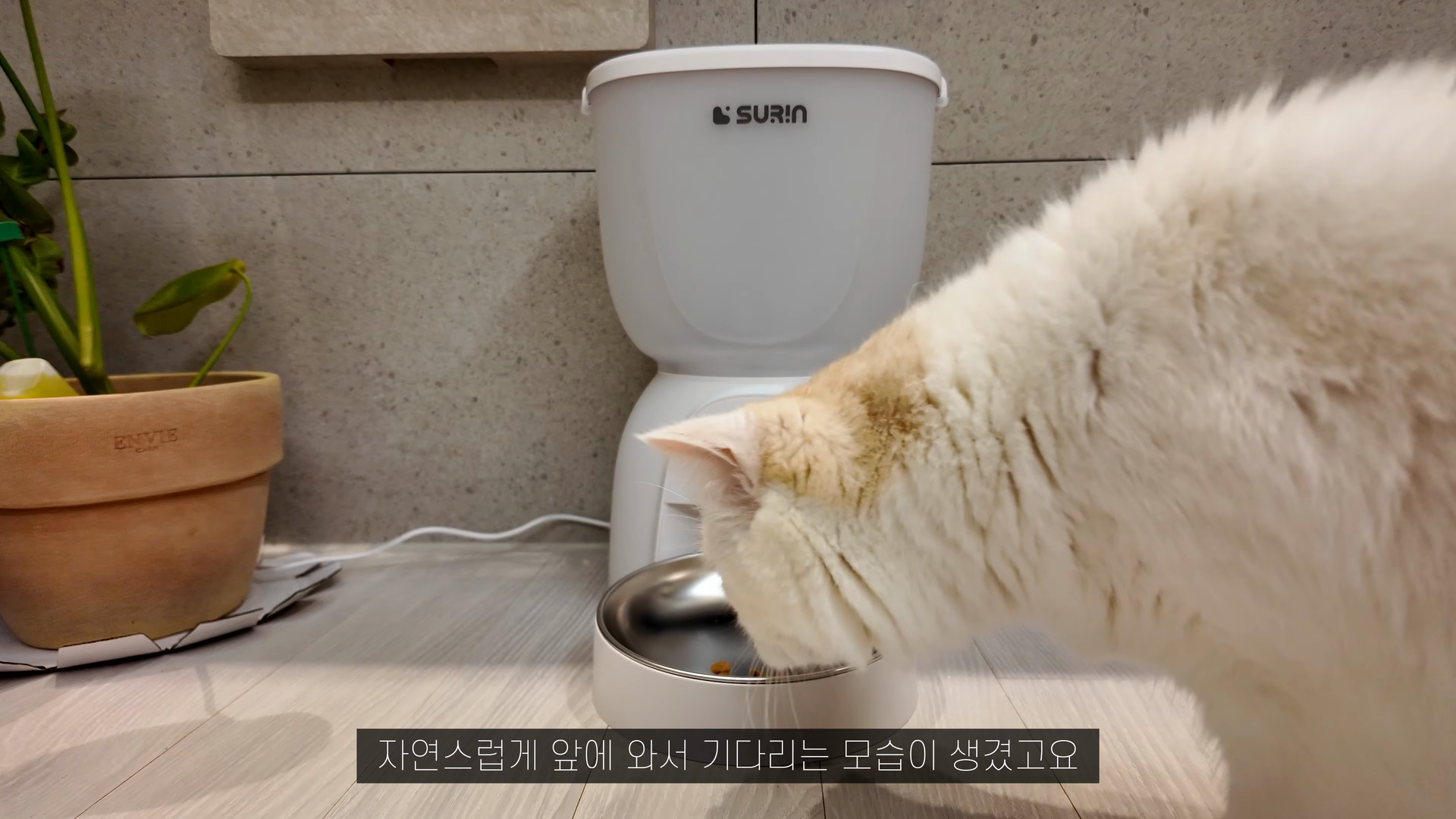수린펫 자동급식기·자동급수기·발바닥 미용기 리뷰｜강아지 고양이 반려동물 용품 추천 후기