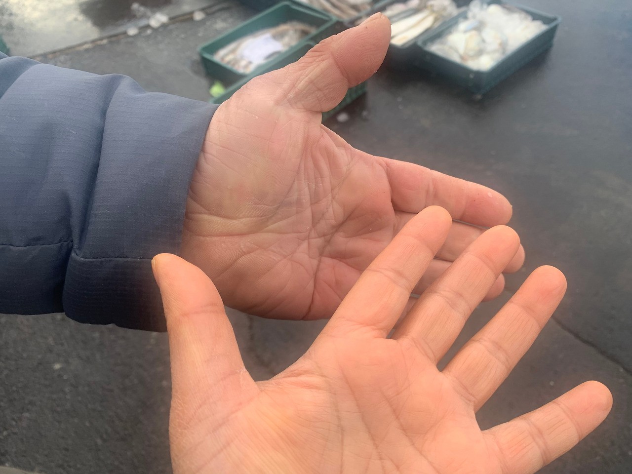 대정에선 오늘도