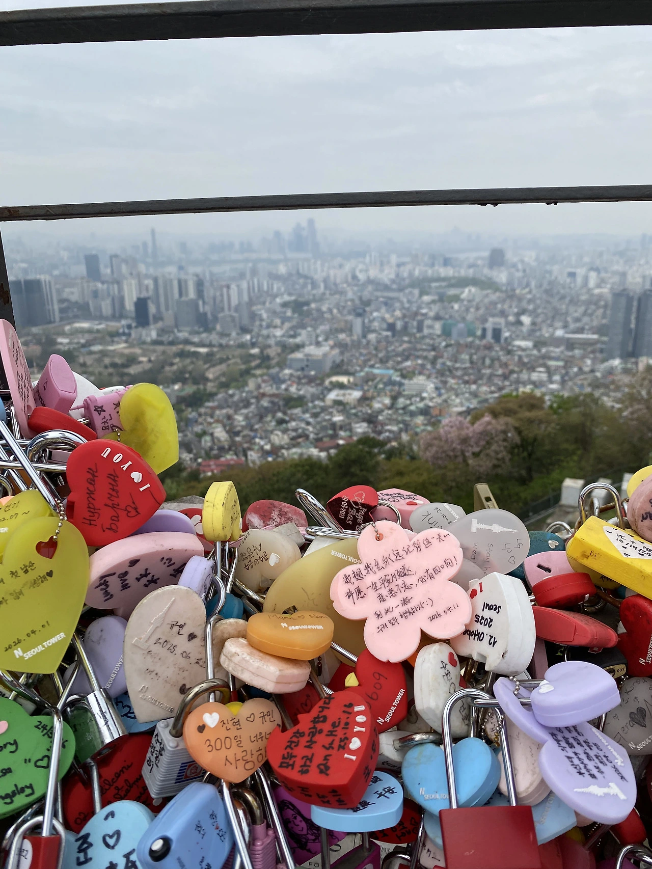 백수. 매일 남산으로 출근합니다.
