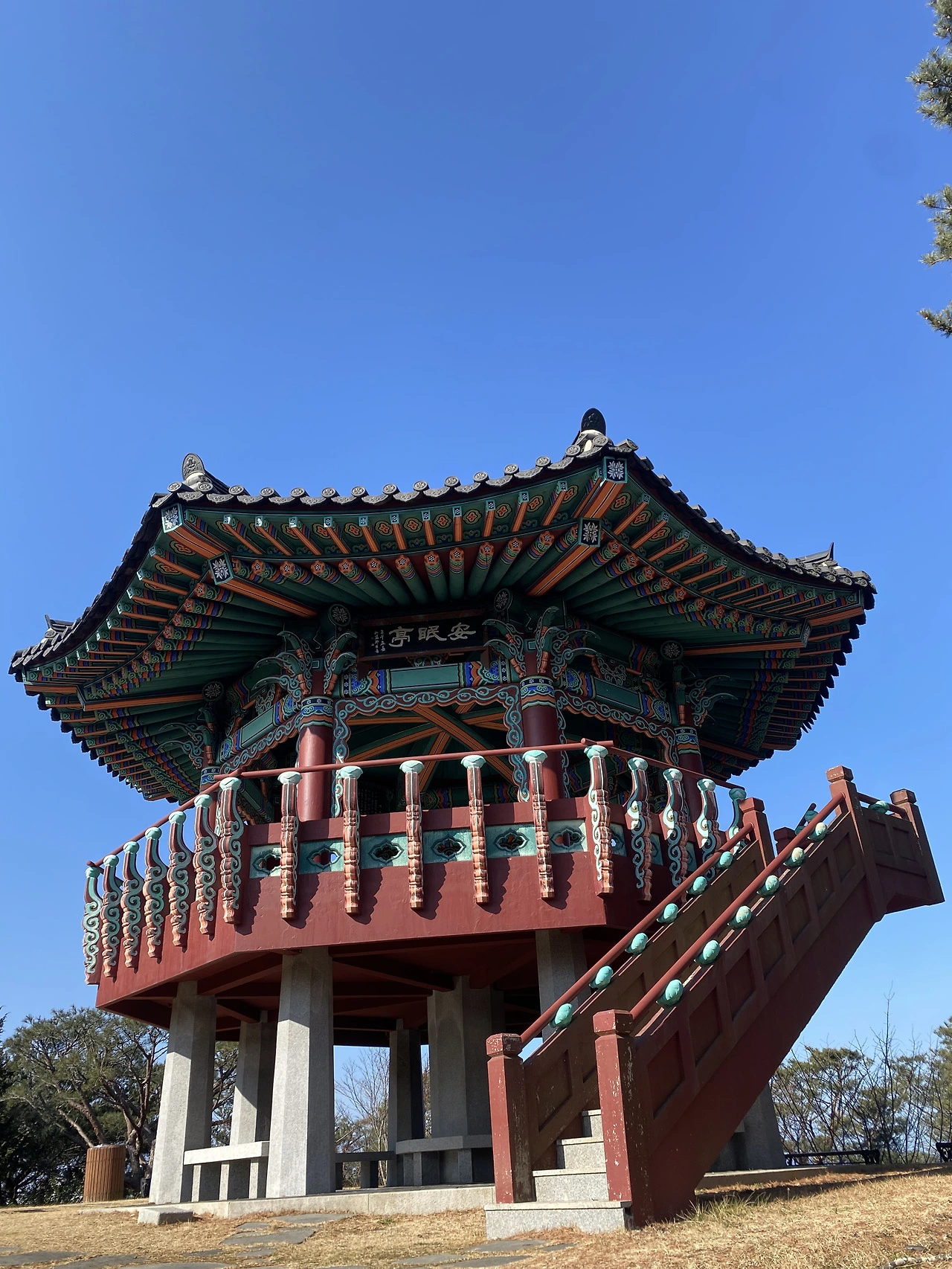 안면도 수목원-2026-03